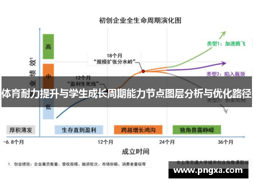 体育耐力提升与学生成长周期能力节点图层分析与优化路径